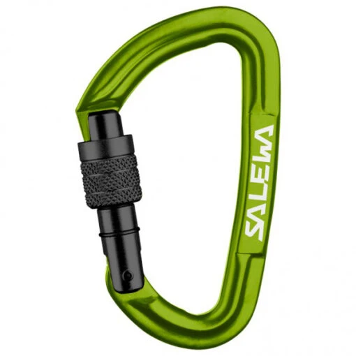 SALEWA Hot G3 Screw Carabiner - Screwgate Carabiner -Climbing Equipment salewa hot g3 screw carabiner screwgate carabiner