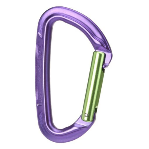 Wild Country Session Straight Gate - Snapgate Carabiner -Climbing Equipment wild country session straight gate snapgate carabiner